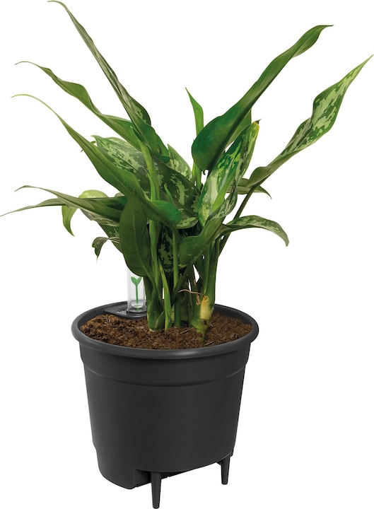 Actual product image Elho Self-irrigation systems