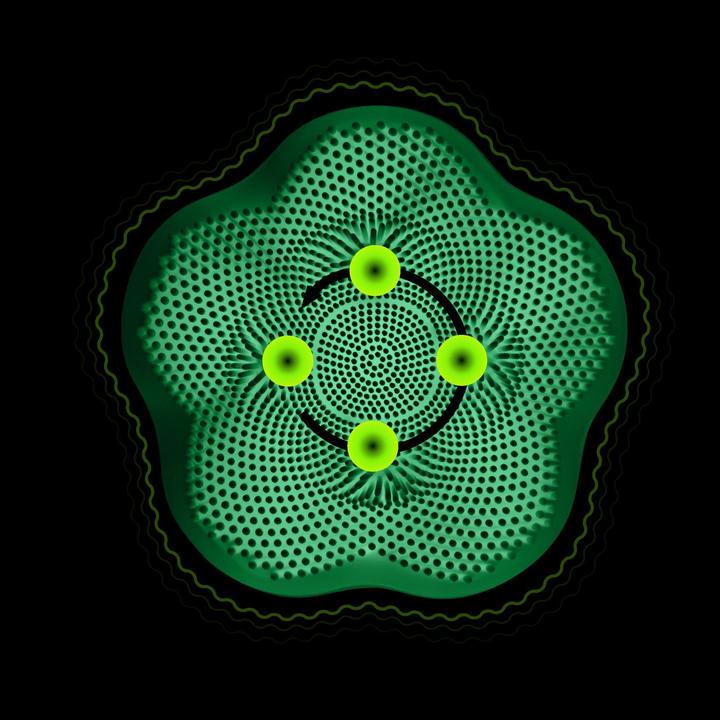 Produktbild Vitalmaxx Sonic Clean
