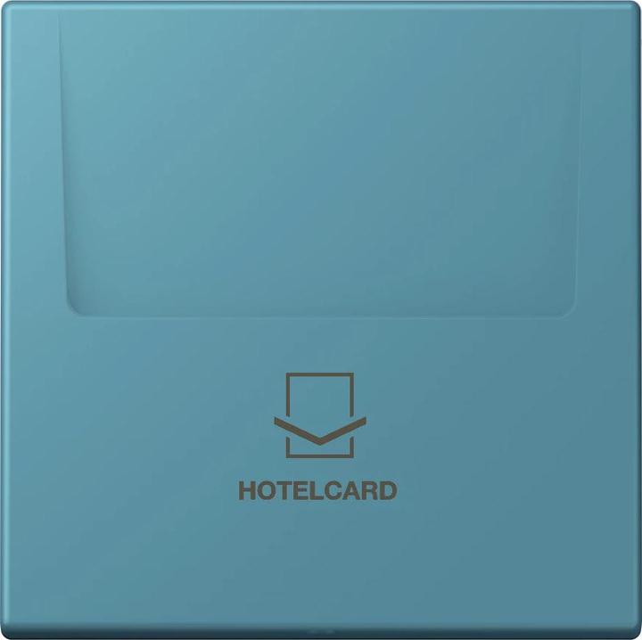 Actual product image JUNG Hotel card switch (Key card)