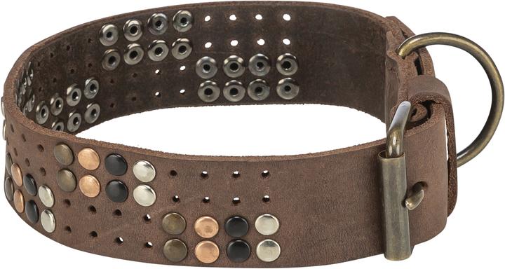Actual product image Trixie Rustic fatleather collar Rivet, M:38–47cm/40mm, dark brown (M)