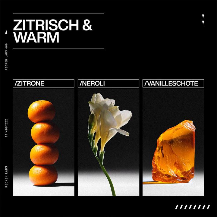 Produktbild Redken Acidic Grow Full System (300 ml)