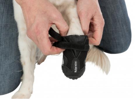 Immagine prodotto Trixie Deambulatore Paw Protector Active Gr.L (L, Scarpe per cani)