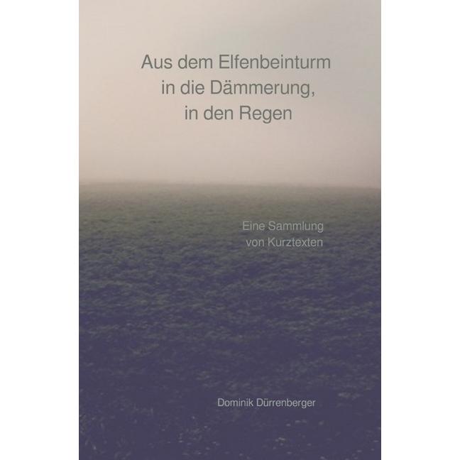 Aus dem Elfenbeinturm in die Dämmerung, in den Regen, Fachbücher von Dominik Dürrenberger
