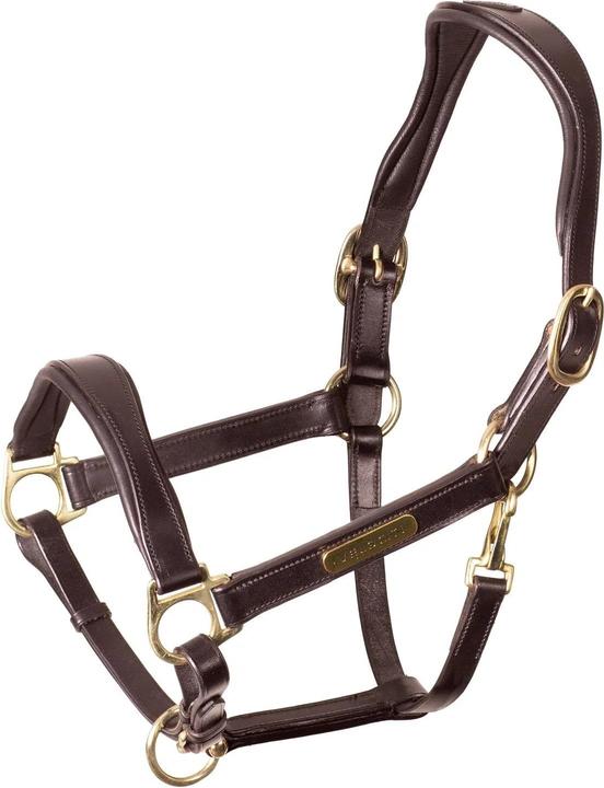 Produktbild Velociti Pferdehalfter Rapida Leder