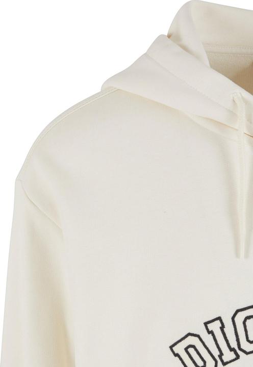 Produktbild Dickies West Vale Hoodie - 92125 (L)