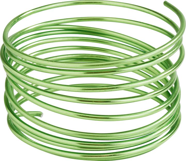 Image du produit Glorex Fil déco alu 2mm 2m vert cl. (2 m)