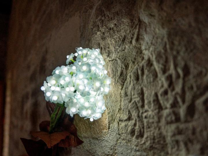 Actual product image Europalms Hydrangea, white with flowers, 100 LEDs