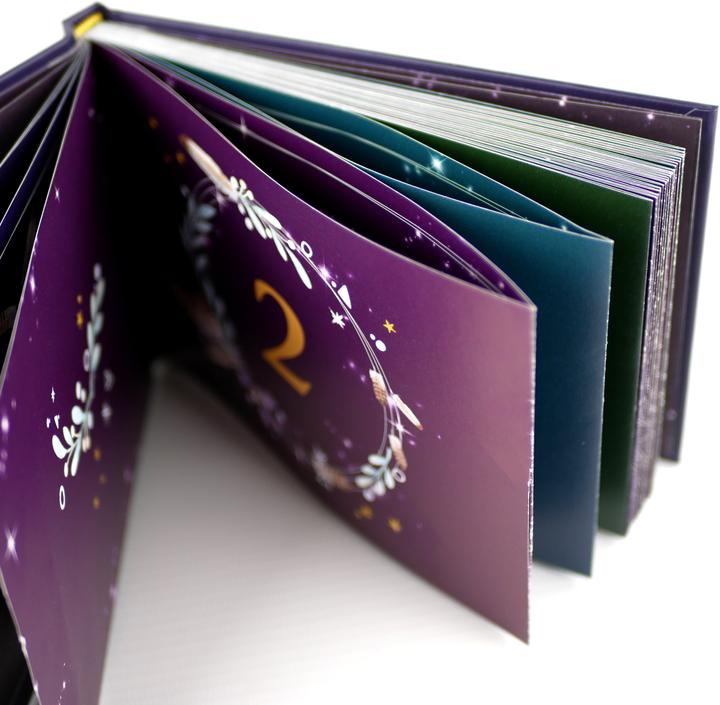 Image du produit La magie de l'Avent