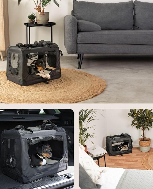 Actual product image Dibea Double Dog Transport Box (Cat, Dog, Foldable, Breathable)
