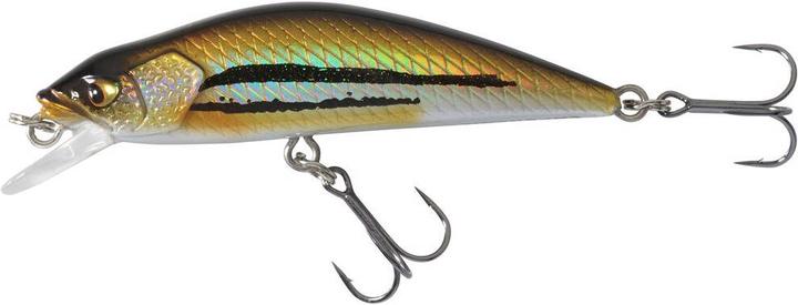 Actual product image Caperlan Jerkbait Minnow (5 cm)