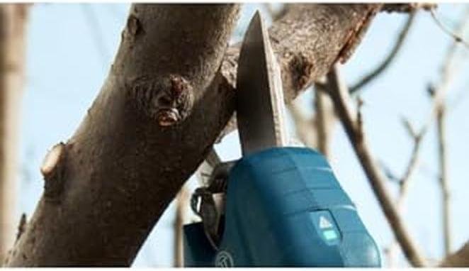 Produktbild Bosch Professional Pro Pruner