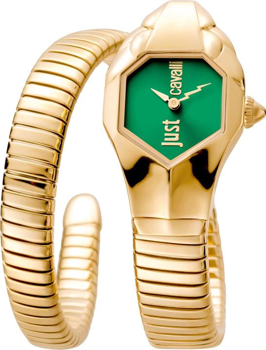 Actual product image Just Cavalli Signature Snake Glam DNA - JC1L001M0055 (Analogue wristwatch, 22 mm)