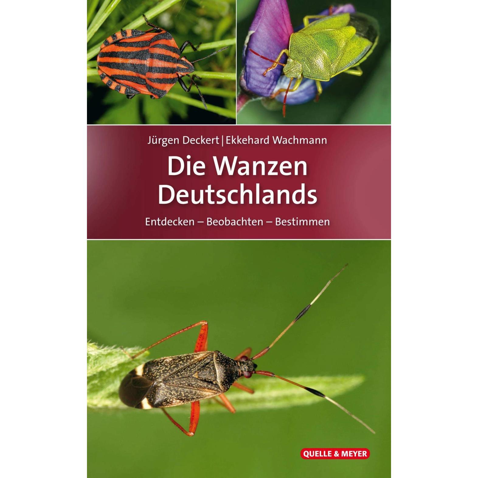 Die Wanzen Deutschlands, Ratgeber von Jürgen Deckert, Ekkehard Wachmann