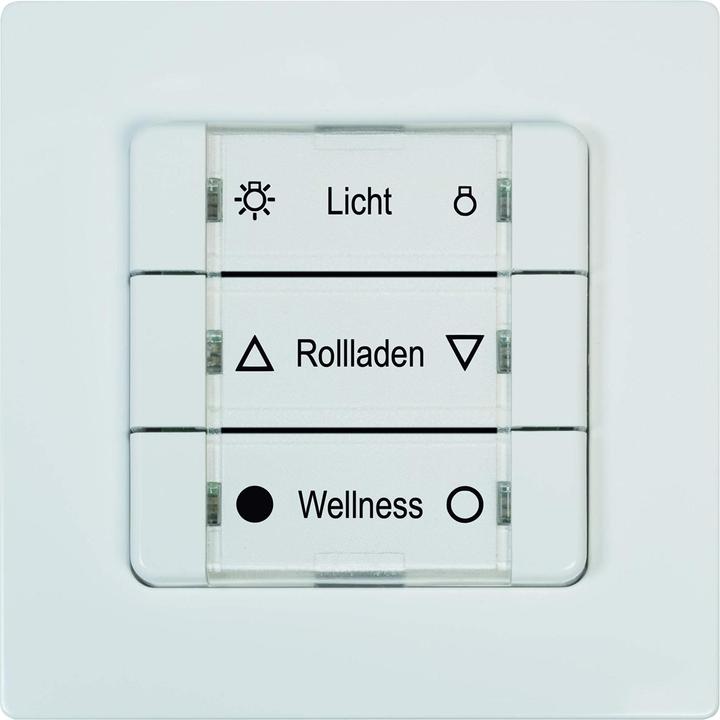 Image du produit Rademacher Bouton-poussoir mural Homepilot smart - 3 groupes