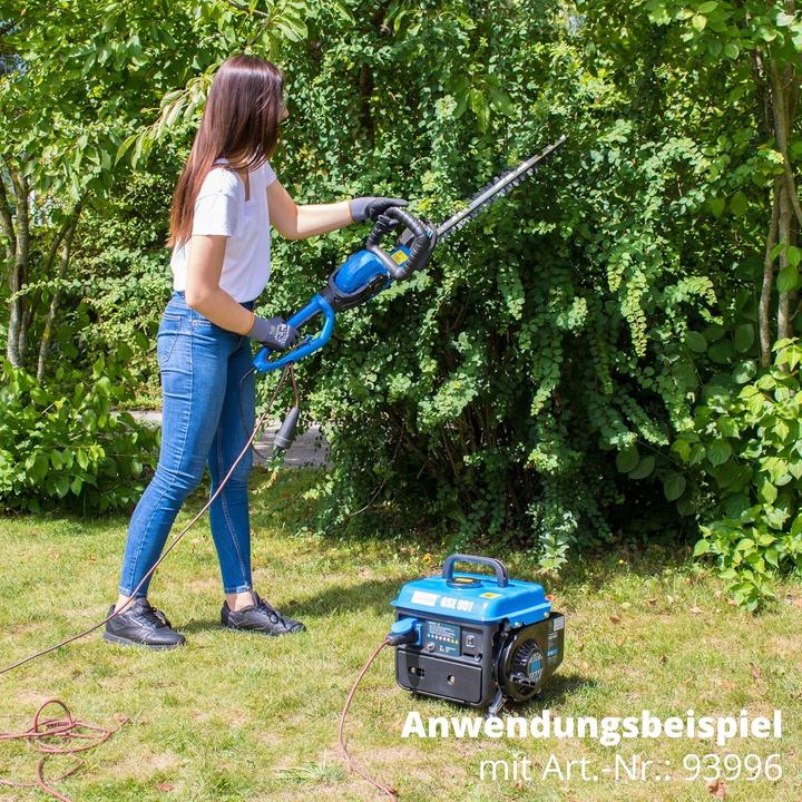 Actual product image Guede GSE 951 (720 W, 3.80 l)