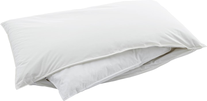 Immagine prodotto Swiss Dream by billerbeck Cuscino Piuma (60 x 90 cm)
