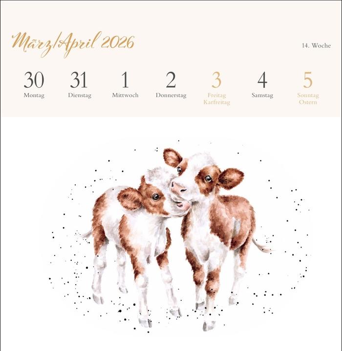 Produktbild Hannah Dale: Happy Animals Premium-Postkartenkalender 2026 (165 x 177 mm, Kein Einband, Deutsch)