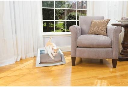 Immagine prodotto Scoop Free Originale (Lettiera autopulente)