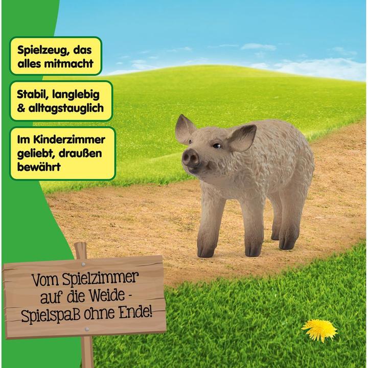 Immagine prodotto Schleich Maialino di lana
