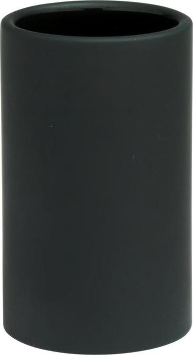 pfister hip (6.5 x 11 cm)
