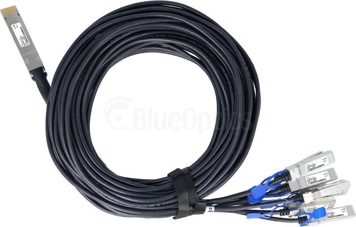 Actual product image BlueLAN Fortinet FN-CABLE-QSFPDD-8SFP56-L1 kompatibles Breakout DAC QSFP-DD/8xSFP56 BL290601X1M26