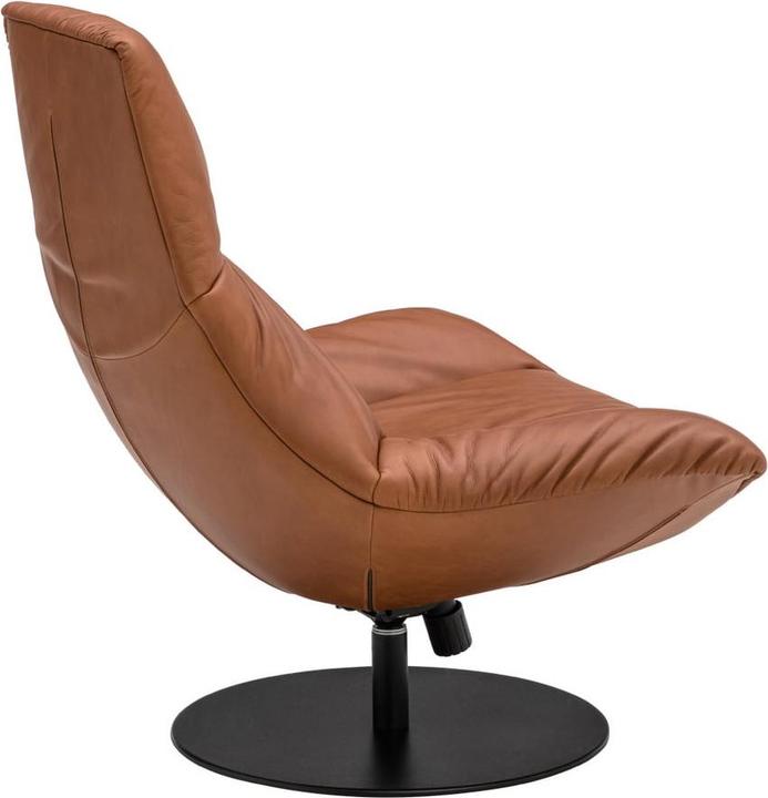 Actual product image Janus