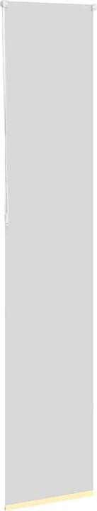 Produktbild vidaXL Verdunkelungsrollo (60 x 210 cm)