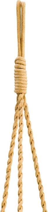 Image du produit pfister Siana (15.50 cm)