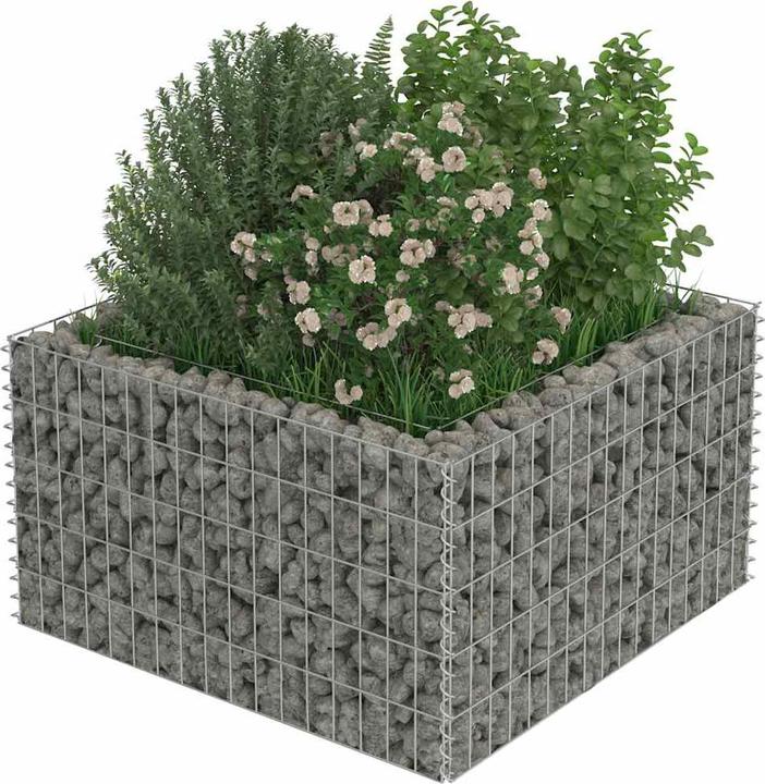 Image du produit vidaXL Gabionen-Hochbeet