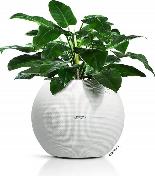 Produktbild Lechuza PURO Color 50 (49 cm)