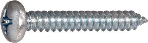 Haushalt SELF SCREWS 4.2X16 DIN7981C ZN 30PCS (30 Vis par pièce)