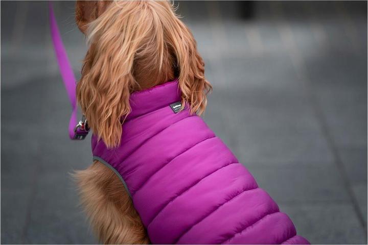 Produktbild Red Dingo Hundemäntelchen Puffer 50 cm Rosa/Lila (Hundemantel)