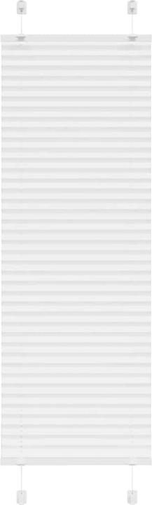 Produktbild vidaXL Plissee (50 x 100 cm)