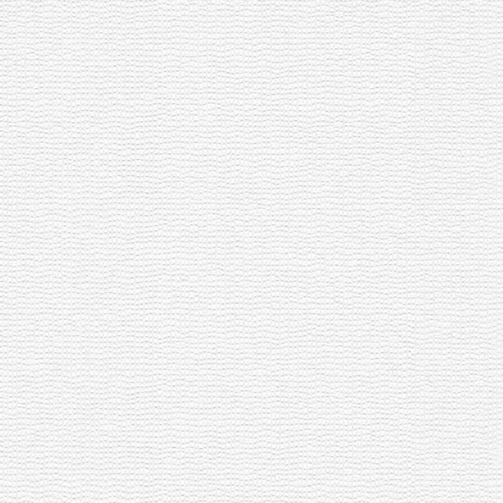 Immagine prodotto Architects Paper Pigmento ECO Bianco, verniciabile 10 (106 x 2500 cm)