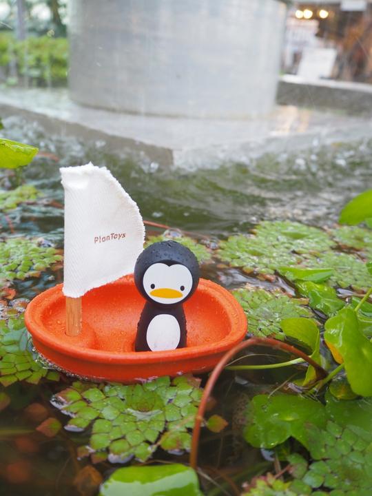 Produktbild Plantoys Pinguin