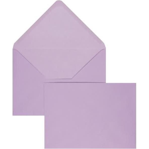Blanke, Briefumschlag, Briefumschläge 225x315mm 160g/qm gummiert VE=100 Stück orchidee (100 x)
