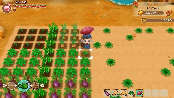 Actual product image Marvelous Story of Seasons: Friends of Mineral Town (Switch, DE)