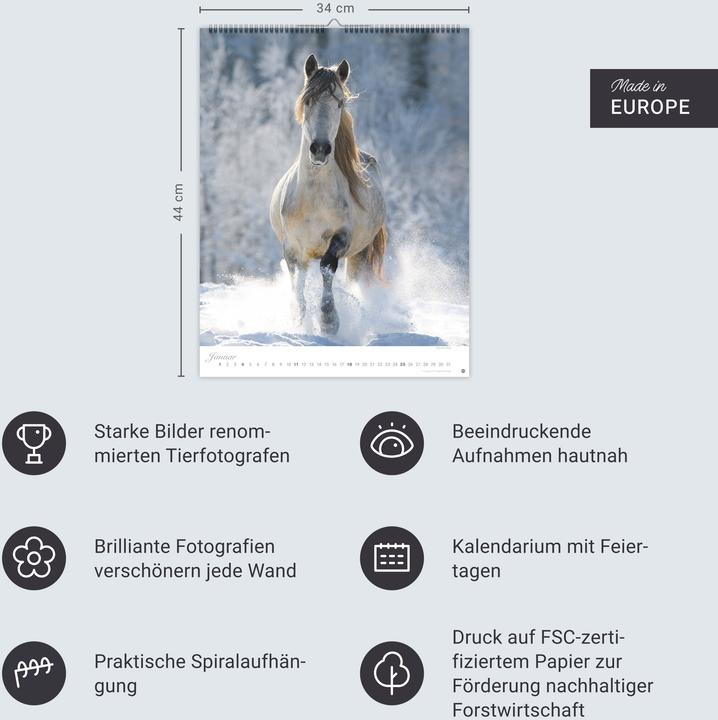Produktbild Pferde Classics Posterkalender 2026