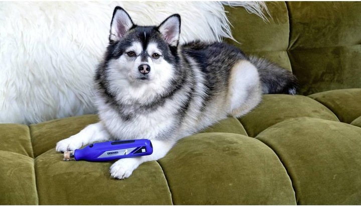 Actual product image Dremel Tierkrallenpflege