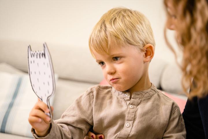 Actual product image Dujardin Je Decouvre Les Emotions New (French)