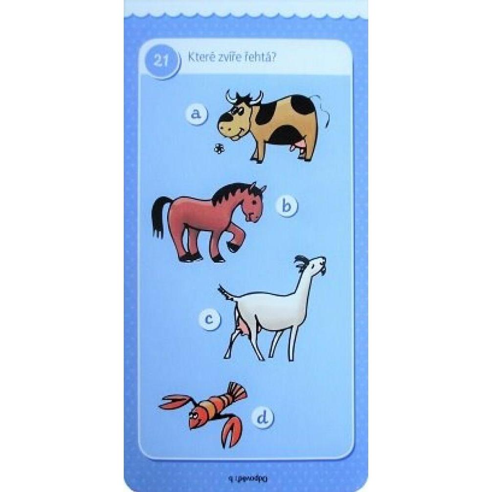 Thumbnail - Aksjomat Quiz für VorschülerInnen