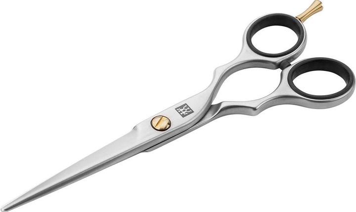 Immagine prodotto Zwilling 43626-141 Forbici per capelli TWINOX con gancio inox 140 mm (14 cm)