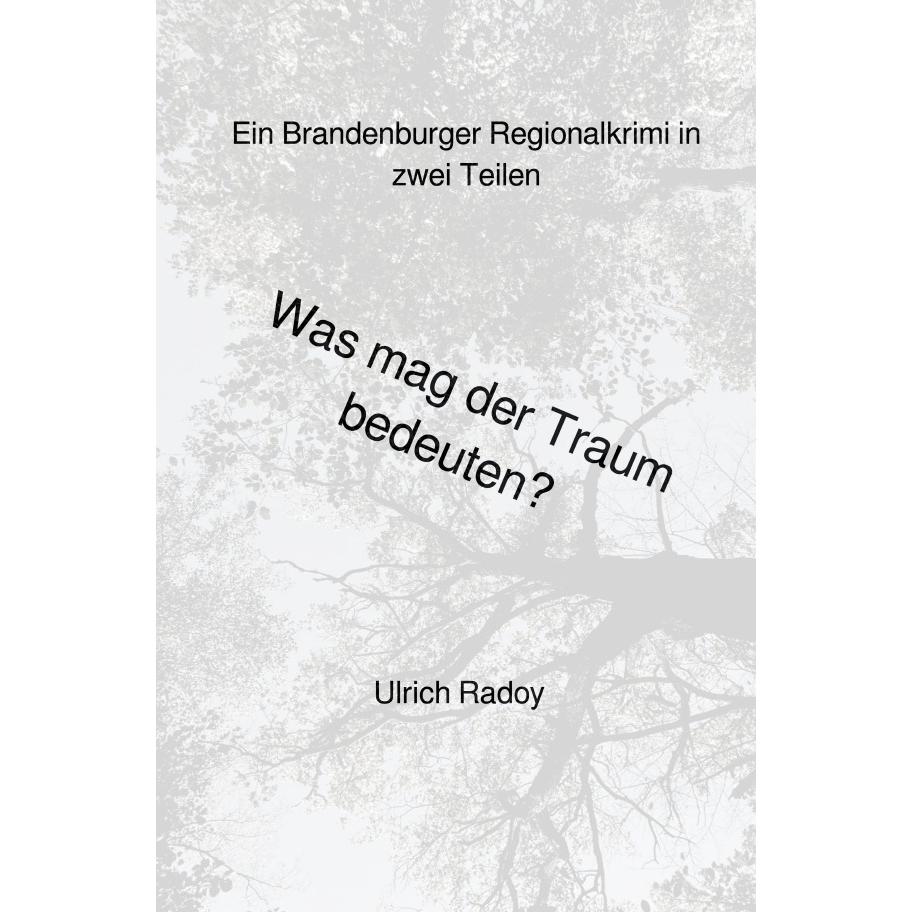 Was mag der Traum bedeuten?, Belletristik von Ulrich Radoy
