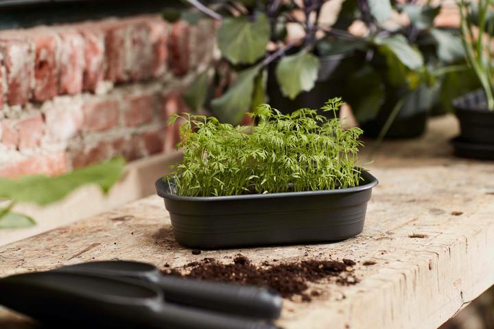 Produktbild Elho Green Basics