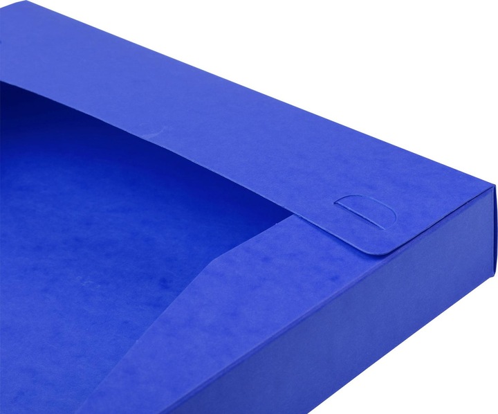 Actual product image Exacompta Archive boxes (A4)