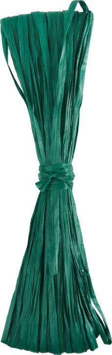 Immagine prodotto Efco Rafia di viscosa, opaca, 20m