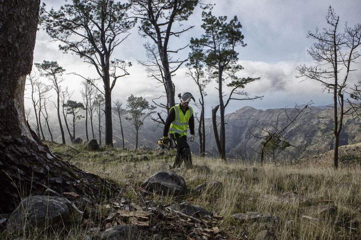 Produktbild DeWalt DCM565P1 (Akku Kettensäge)