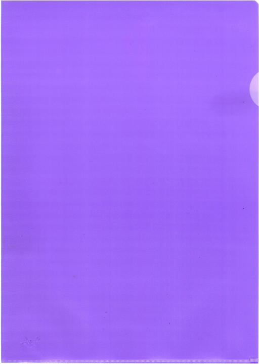 Image du produit BüroLine Chemises transparentes - PP mat (A4, 100x)