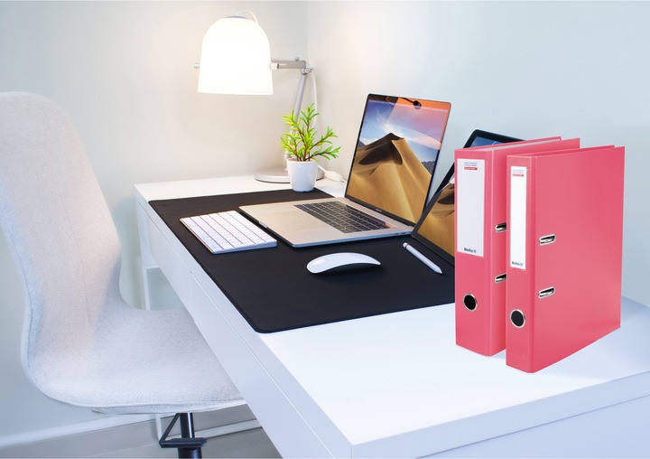Actual product image Biella federal files (A4, 40 mm, 1 x)