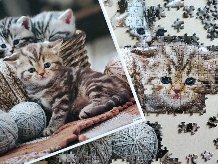 Produktbild Tactic Cute Kittens 1000 pcs (1000 Teile)